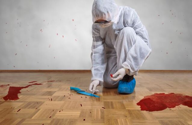 crime scene technician cleaning blood spatter from hardwood floor of home where crime was commited